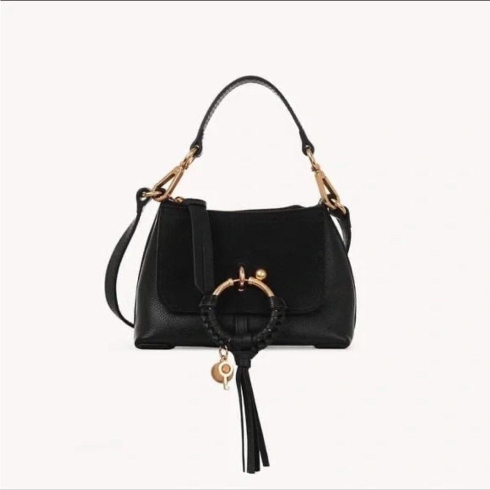 Chloe bag mini